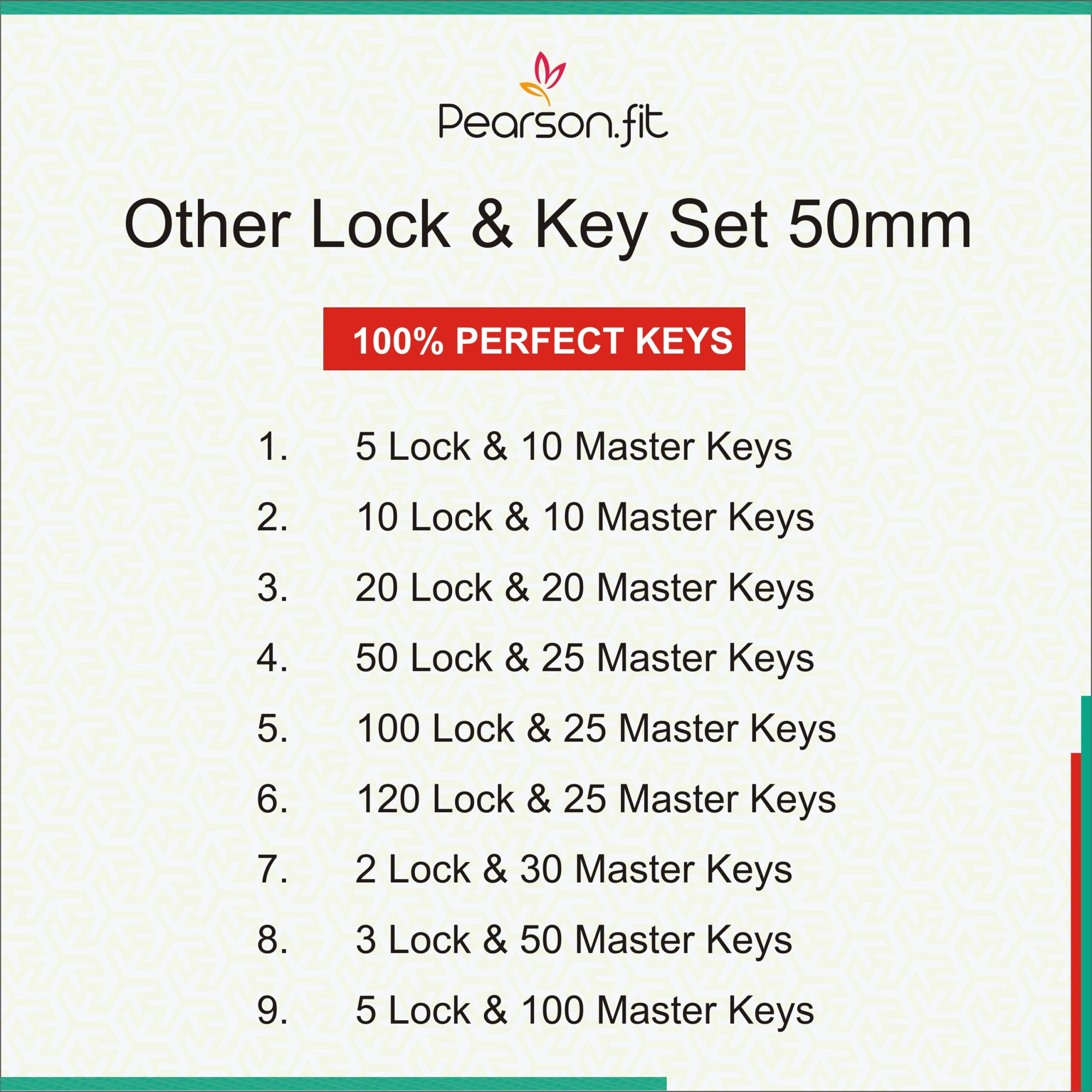 50mm 10 Lock & 10 Keys Medium Size Same Key Lock Set - Image 10